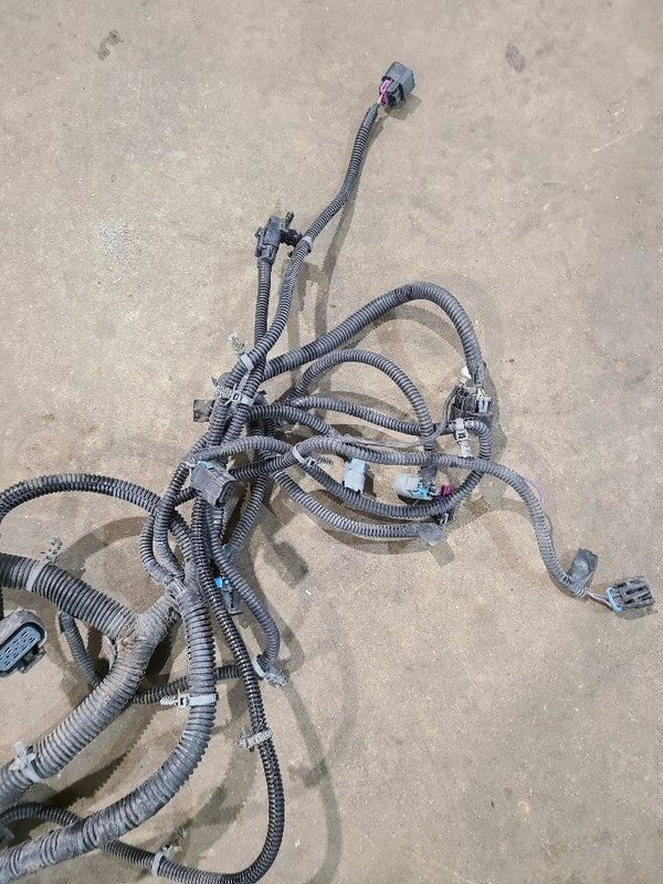 SIEDENALI 2010 Lamp Wiring Harness 613215