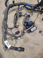 BOLT      2020 Engine Wire Harness 655379