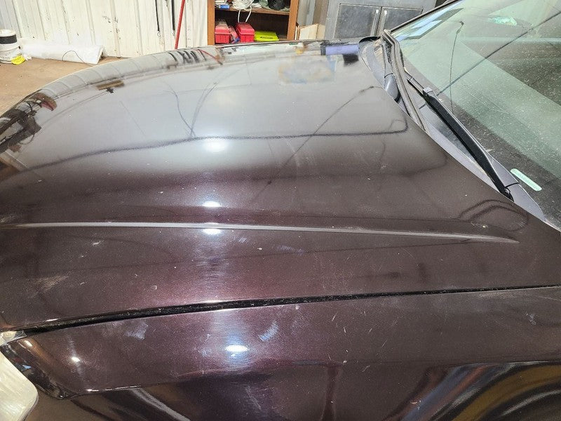 Hood Fits 05-10 AUDI A8 670877