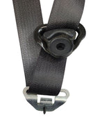 SIEDENALI 2010 Seat Belt Rear 613150