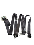 SILVRDO15 2017 Seat Belt Rear 616246