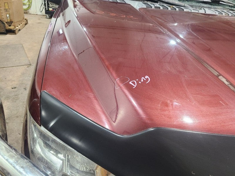 Hood Fits 15-20 FORD F150 PICKUP 652357