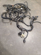 DAKOTA    2002 Engine Wire Harness 663313
