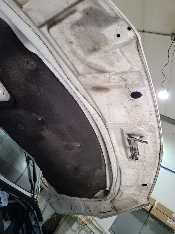 Hood Fits 19-25 MERCEDES SPRINTER 2500 672032