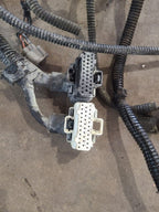 WRANGLER  2001 Engine Wire Harness 680097