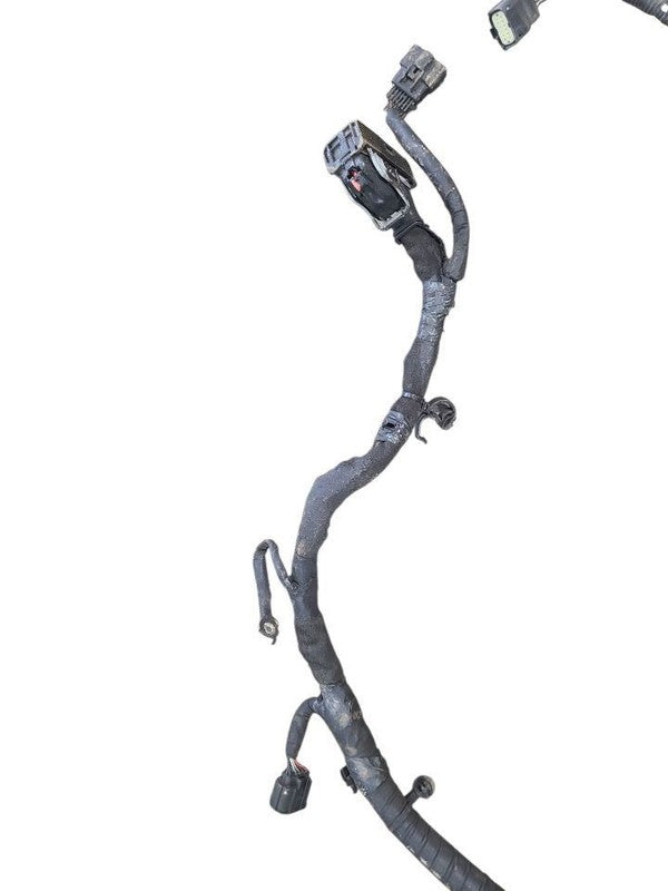 RAM3500   2020 Lamp Wiring Harness 641256
