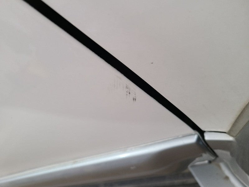 Passenger Front Door Limited Body Side Moulding Fits 96-02 4 RUNNER 66