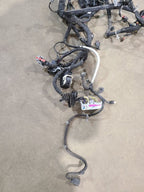 EQUINOX   2018 Engine Wire Harness 603624