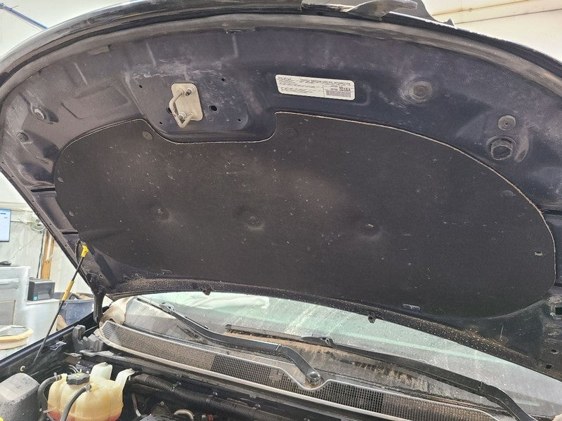 Hood Fits 17-25 PACIFICA 676773