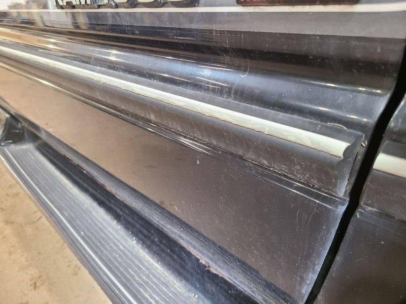 RAM1500   1996 Door Moulding Front 662841