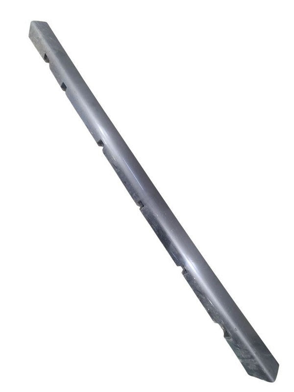 CHARGER   2019 Rocker Panel Moulding 676168
