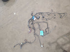 MALIBU    2018 Lamp Wiring Harness 620150