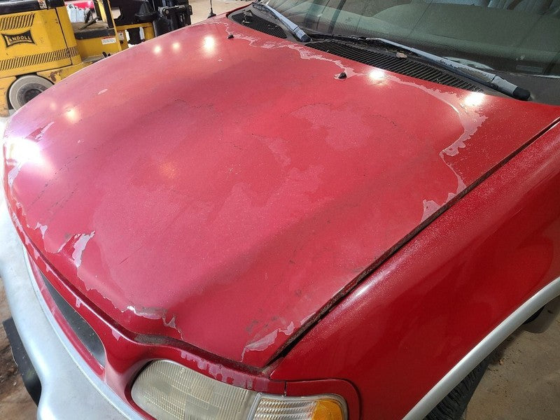 Hood Fits 97-98 EXPEDITION 666795