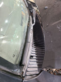 4 RUNNER  2001 Cowl 677450