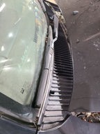 4 RUNNER  2001 Cowl 677450