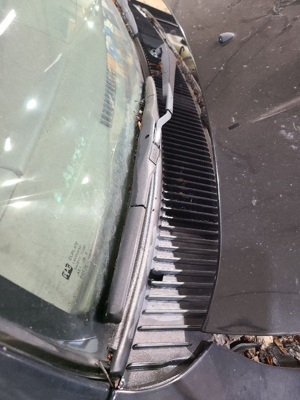 4 RUNNER  2001 Cowl 677450