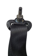 GRANDCHER 2017 Seat Belt Rear 613605