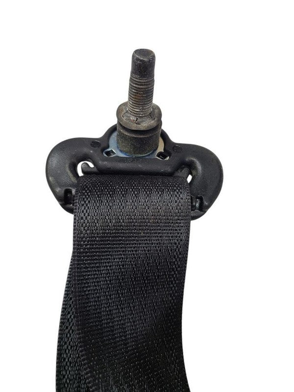 GRANDCHER 2017 Seat Belt Rear 613605
