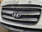 Grille With Surround Without Chrome Bars Fits 07-09 SANTA FE 618780