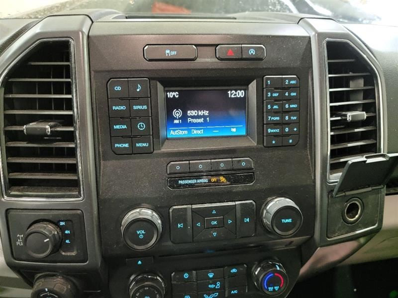 F150      2017 Dash Bezel 543848