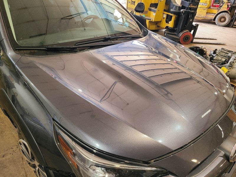 Hood Fits 20-25 LEGACY 672679