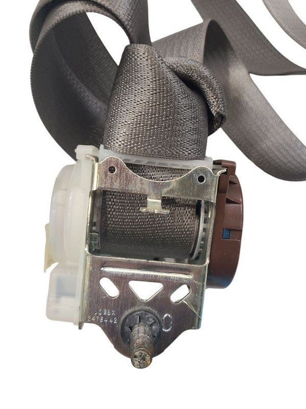 F150      2016 Seat Belt Rear 622491