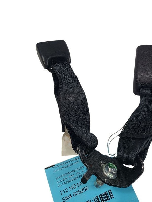 FIT       2019 Seat Belt Rear 649260