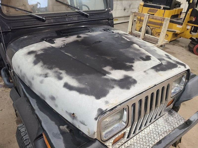 Hood Fits 87-95 WRANGLER 676909