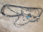 CORVETTE  2011 Transmission Wire Harness 535362