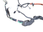 TACOMA    2002 Engine Wire Harness 635439