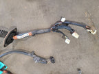 TACOMA    1998 Engine Wire Harness 673198