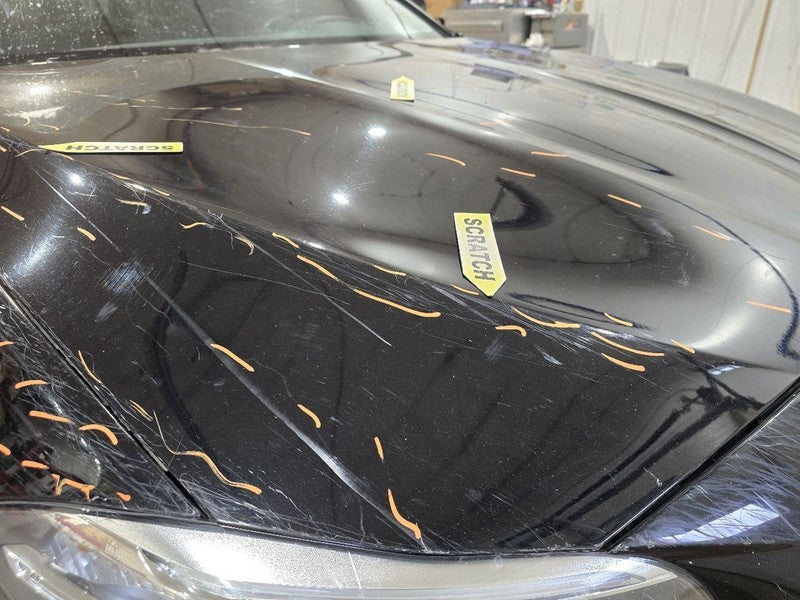 Hood Fits 11-16 BMW 528i 615151