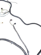 CUSTOM-SW 1978 Lamp Wiring Harness 647945