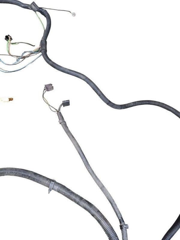 CUSTOM-SW 1978 Lamp Wiring Harness 647945