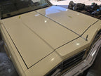 Hood Fits 77-79 OLDSMOBILE 647875