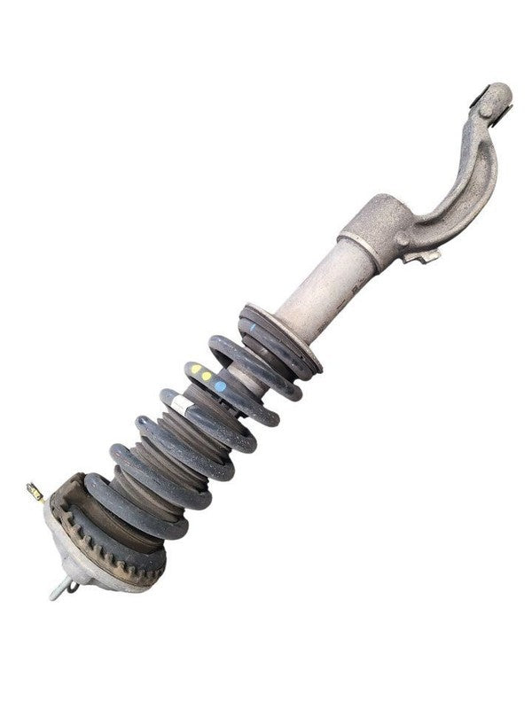 GHIBLI    2019 Strut 664938