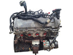Engine 5.4L VIN 5 8th Digit 3V SOHC Fits 05-08 FORD F150 PICKUP 666951