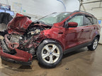 ESCAPE    2014 Seat Belt Rear 610499