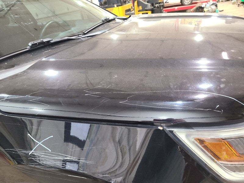 Hood Fits 16-19 EXPLORER 663598