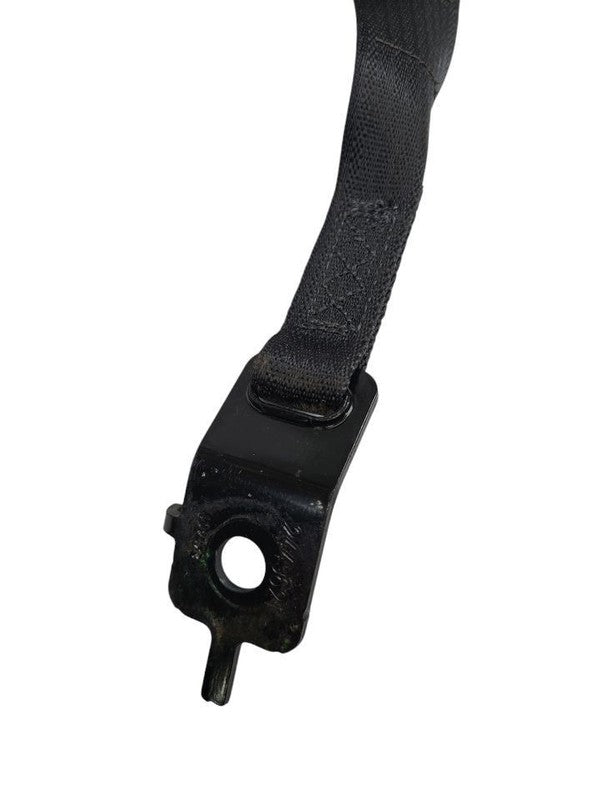 GRANDCHER 2017 Seat Belt Rear 613605