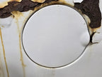 EXPLORER  1995 Fuel Filler Door 606849