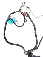 CUSTOM-SW 1978 Lamp Wiring Harness 647945