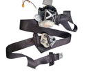 ESCALAESV 2010 Seat Belt Rear 645251