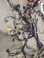 BOXSTER   2006 Body Wire Harness 604328