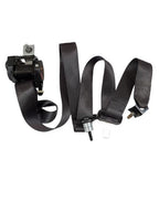 FLEX      2018 Seat Belt Rear 598457