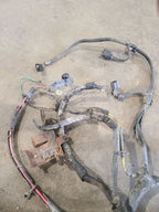 WRANGLER  2008 Engine Wire Harness 673119