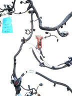 CORSAIR   2023 Engine Wire Harness 640852