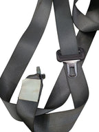 ACCORD    2011 Seat Belt Rear 617779