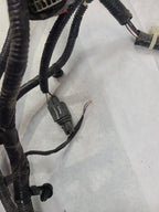 PACIFICA  2017 Lamp Wiring Harness 605033