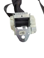 DENALI XL 2015 Seat Belt Rear 593793